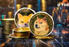 00e9441669346f1cf87d ¡Dogecoin (DOGE) se dispara un 27%! ¿Crecerá aún más Shiba Inu (SHIB)?