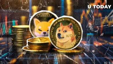 ¡Dogecoin (DOGE) se dispara un 27%! ¿Crecerá aún más Shiba Inu (SHIB)? - Cripto Boom