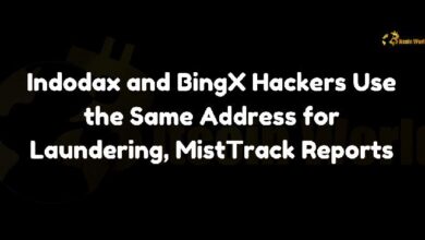 010e3bb54bb5b4861826 Hackers de Indodax y BingX Usan la Misma Dirección para Lavado de Criptomonedas, Informe MistTrack ¡Descubre los Detalles!