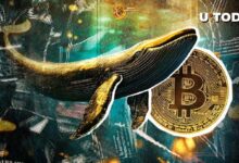 0132a4c2606776e734fe Cartera de Bitcoin de la Era Satoshi Reactivada con $10 Millones en Ganancias de BTC - ¡Descubre Más!