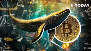 Cartera de Bitcoin de la Era Satoshi Reactivada con $10 Millones en Ganancias de BTC - ¡Descubre Más! - Cripto Boom