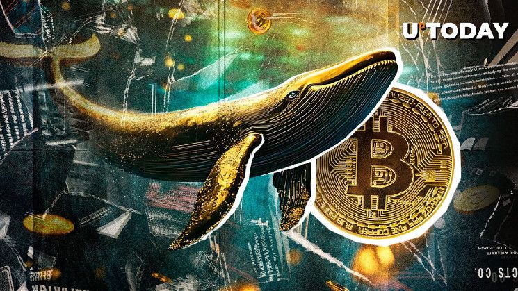 0132a4c2606776e734fe Cartera de Bitcoin de la Era Satoshi Reactivada con $10 Millones en Ganancias de BTC - ¡Descubre Más!