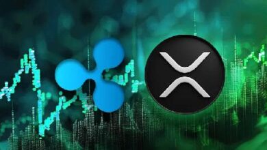 Ballena de XRP Mueve 100M de Tokens: ¿Qué Sigue para el Precio de XRP? ¡Descúbrelo Aquí! - Cripto Boom