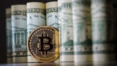 ¡Desarrollo Crítico en el Índice Bitcoin-Dólar! ¿Habrá Una Desvinculación? Descubre los Detalles Aquí - Cripto Boom