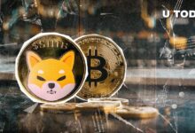 Shiba Inu (SHIB) Finalmente Se Desvincula del Bitcoin: Descubre Qué Significa Esto - Cripto Boom