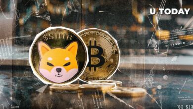 Shiba Inu (SHIB) Finalmente Se Desvincula del Bitcoin: Descubre Qué Significa Esto - Cripto Boom