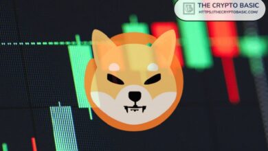 03980654f5e6fbdf8008 ¡Descubre el Análisis! Se Prevée un Aumento del 100% de Shiba Inu a $0.00003852