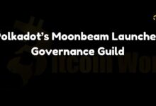 0572f729407728cd2421 Moonbeam de Polkadot Lanza la Guild de Gobernanza: ¡Descubre Más!