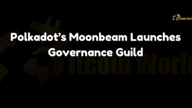 0572f729407728cd2421 Moonbeam de Polkadot Lanza la Guild de Gobernanza: ¡Descubre Más!