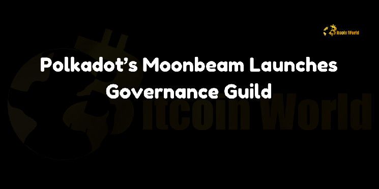 0572f729407728cd2421 Moonbeam de Polkadot Lanza la Guild de Gobernanza: ¡Descubre Más!