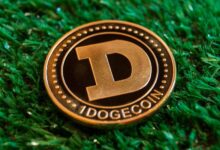 El dominio de mercado de Dogecoin supera el 1%: ¿Podría el precio de DOGE alcanzar $1 en este ciclo? ¡Descúbrelo aquí! - Cripto Boom