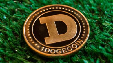 El dominio de mercado de Dogecoin supera el 1%: ¿Podría el precio de DOGE alcanzar $1 en este ciclo? ¡Descúbrelo aquí! - Cripto Boom