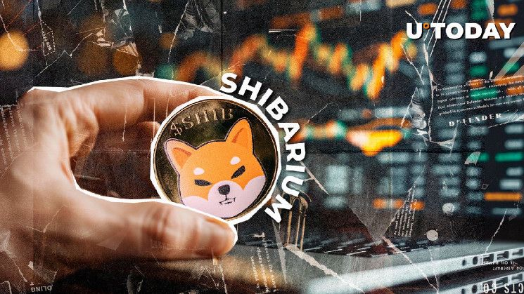 Revelado: Actualización Estratégica para Shibarium por el Equipo SHIB - Descubre Más - Cripto Boom