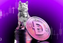 086c59e1fbc6e6bfd42b Los Inversores a Largo Plazo de Dogecoin (DOGE) Podrían Provocar una Caída de Precios - Descubre Más