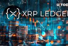 08e87b8718e9f787142c Próxima Gran Actualización de DID en el Ledger XRP (XRPL): ¡Descubre los Detalles!