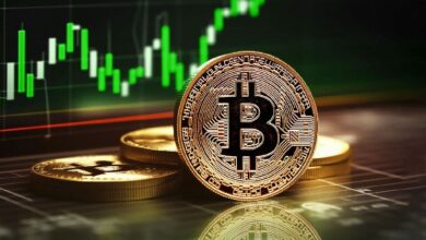 Bitcoin (BTC) alcanza $69,000: ¿Es posible un rally del 155%? Descúbrelo ahora - Cripto Boom