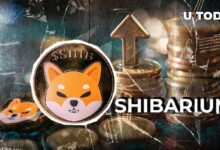 ¡El Shibarium de Shiba Inu Rompe Récords con un Aumento Sorprendente del 1,557% en Actividad! Descubre Más Aquí - Cripto Boom