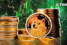 0a1e7c85177eb78cc904 Precio de Dogecoin (DOGE) Alcanza Nuevos Horizontes tras Misteriosa Transferencia de Ballena por $78.68 Millones - Descubre los Detalles!