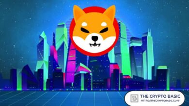 Shiba Inu Desafía a su Rival: “¡SHIB Listo para Conquistar el Mundo Virtual!” - Cripto Boom