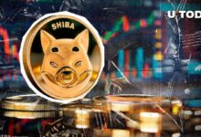 ¿Continuará el Rally de Shiba Inu (SHIB) en Noviembre? Descúbrelo Aquí - Cripto Boom