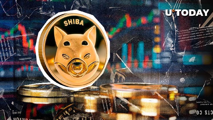 ¿Continuará el Rally de Shiba Inu (SHIB) en Noviembre? Descúbrelo Aquí - Cripto Boom