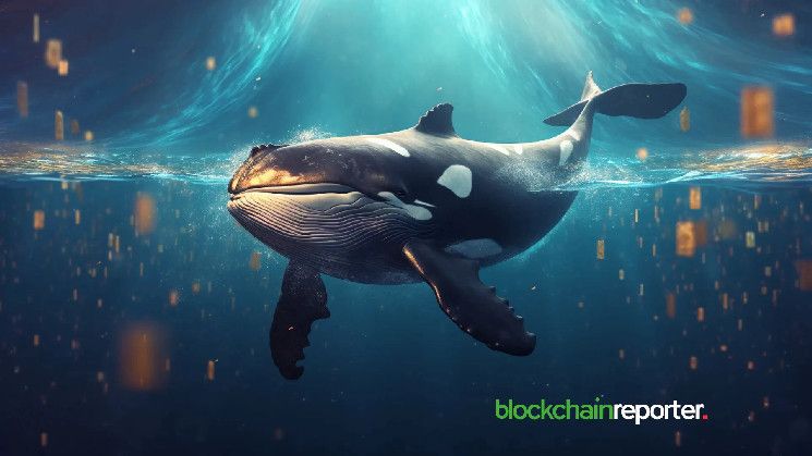 0abe9f7f7218b887b16d Ballena Convierte Pérdida de $4.44M en WIF a Ganancia de $1.94M en SOL e Invierte en $POPCAT: Descubre el Impactante Movimiento