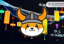 0b255d1e03d130371e7b Experto: Descubre lo que Floki tiene que Shiba Inu y Dogecoin no poseen