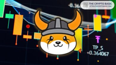 0b255d1e03d130371e7b Experto: Descubre lo que Floki tiene que Shiba Inu y Dogecoin no poseen