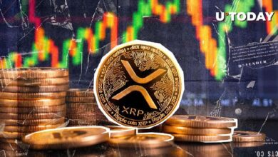 0bb007dbd21454c7b0f1 ¡XRP se Dispara un 366%! Descubre cómo Alcanzó $1.1 Millones en Flujos Semanales