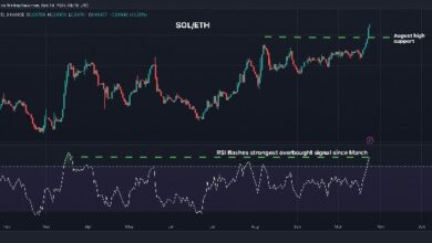 0bbc19c92f5816c6fd92 Solana Sobrecomprada Frente a Ethereum: ¡Descubre la Tendencia a la Baja del Ratio BTC-Oro!