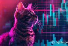 0e2b9149f7207d0f4f31 ¡Explosión de tokens Popcat y MEW! Volumen de Solana DEX supera a Ethereum: Descubre más