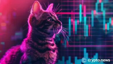 ¡Explosión de tokens Popcat y MEW! Volumen de Solana DEX supera a Ethereum: Descubre más - Cripto Boom