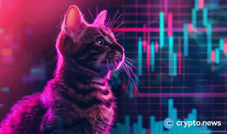 0e2b9149f7207d0f4f31 ¡Explosión de tokens Popcat y MEW! Volumen de Solana DEX supera a Ethereum: Descubre más