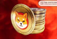 134b0dd7a35f17243716 Líder de Shiba Inu Aborda Preocupaciones sobre Carteras SHIB de Mil Millones: ¡Descubre los Detalles!