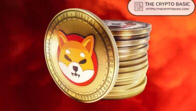 134b0dd7a35f17243716 Líder de Shiba Inu Aborda Preocupaciones sobre Carteras SHIB de Mil Millones: ¡Descubre los Detalles!