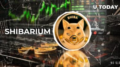 1508d1da407634966d99 ¡3.78 Billones de SHIB en 24 Horas!: El Precio de Shiba Inu Se Dispara un 7%