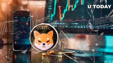 ¿2 Trillones de Shiba Inu (SHIB) en 24 Horas?: ¿Qué Sucederá el Lunes? ¡Descúbrelo! - Cripto Boom