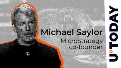 Saylor de MicroStrategy Responde al Crucial Mensaje de Elon Musk con una Revelación Sobre Bitcoin - Cripto Boom