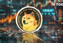 17fc77d7581cd5599dd9 ¡Transferencia de 176 Millones de Dogecoin (DOGE) Impacta al Mayor Exchange del Mundo!