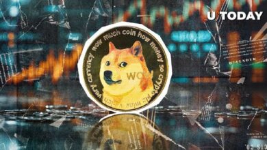 17fc77d7581cd5599dd9 ¡Transferencia de 176 Millones de Dogecoin (DOGE) Impacta al Mayor Exchange del Mundo!