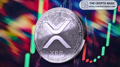 19d81b1d575020275908 Exejecutivo de Ripple Predice Cuándo XRP Puede Despegar y Lanzamiento de ETF - ¡Descubre los Detalles!