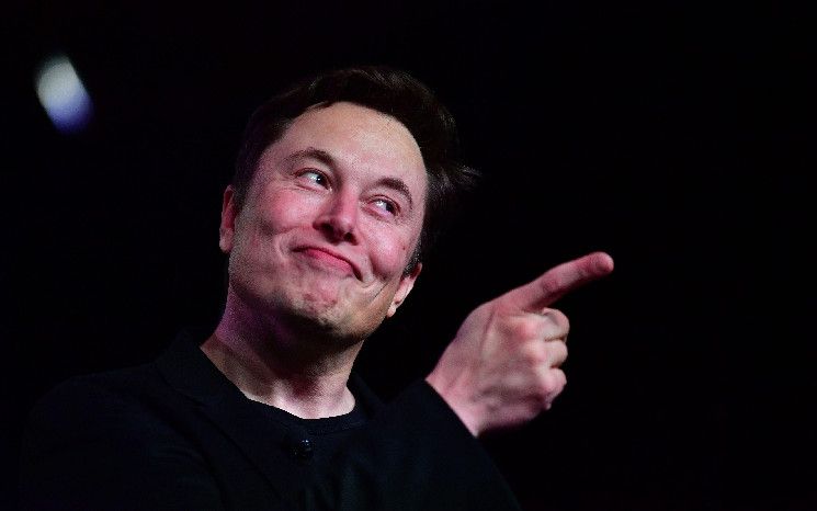 1c19a41b51c9403578f2 Sorpresa: Elon Musk Impulsa los Precios de Bitcoin y Criptomonedas al Alza ¡Descubre Más!