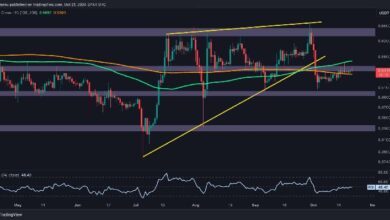 1d73f27b2212b13589c8 Análisis del Precio de Ripple: Descubre Cómo XRP Puede Evitar Caer a $0.5