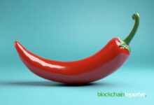 1dc98643bdeb6c0e34b2 Chiliz Chain y Crossmint Unen Fuerzas para Soluciones Blockchain en Deportes: ¡Descubre Más!