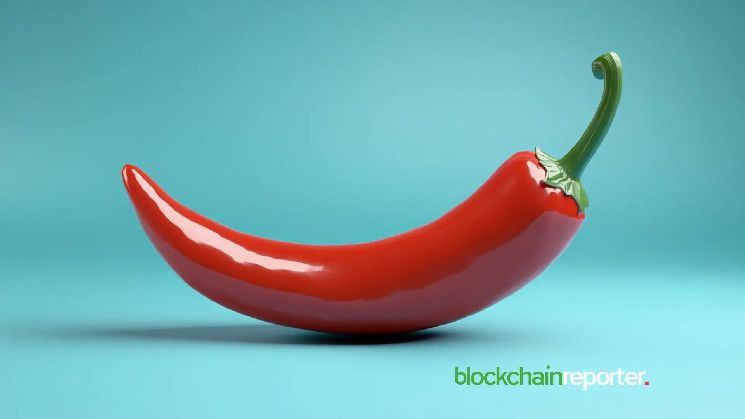 1dc98643bdeb6c0e34b2 Chiliz Chain y Crossmint Unen Fuerzas para Soluciones Blockchain en Deportes: ¡Descubre Más!