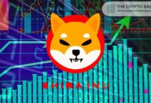 1dcf462698490272112f ¡Shiba Inu se Dispara un 42% en 30 Días! ¿Apunta la Tendencia Alcista a $0.00000252?