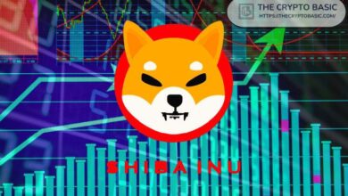 1dcf462698490272112f ¡Shiba Inu se Dispara un 42% en 30 Días! ¿Apunta la Tendencia Alcista a $0.00000252?