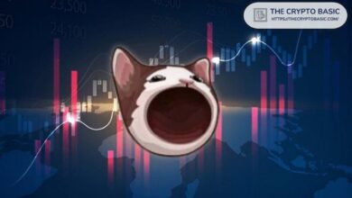 Rival de Shiba Inu Listo para Ascender a $5, Predice Experto Destacado - Cripto Boom