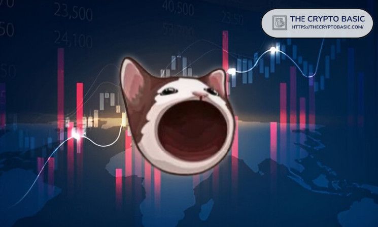 Rival de Shiba Inu Listo para Ascender a $5, Predice Experto Destacado - Cripto Boom