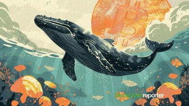 1f82b96a0f5cc73905b5 Las Ballenas de Bitcoin Continúan Acumulando en Medio de la Volatilidad del Mercado - Descubre Más